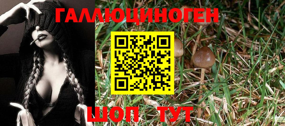 Галлюциногенные грибы мухоморы  продажа наркотиков  Вход с VPN  Наро-Фоминск  Галлюциногенные грибы Psilocybine cubensis 